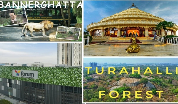 Featured Image of Prestige Falcon City Reserve Places to Visit 